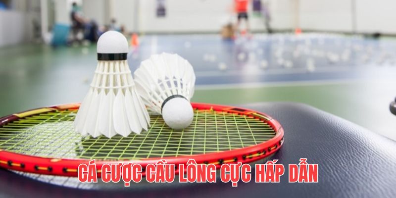 Cá Cược Cầu Lông - Thỏa Sức Giải Trí Dễ Dàng Đổi Đời