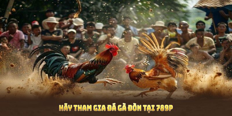 Hãy tham gia đá gà đòn tại 789P để nhận ưu đãi hấp dẫn