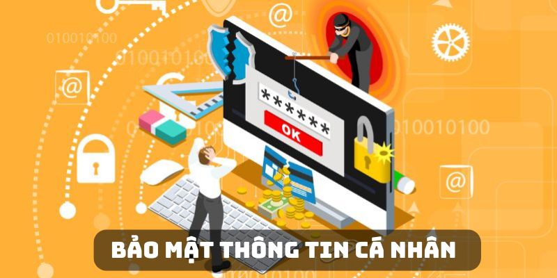 Quy định về quyền lợi và quản lý thông tin hội viên