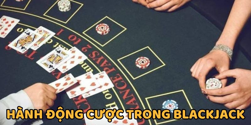 Thao tác cược bài Blackjack