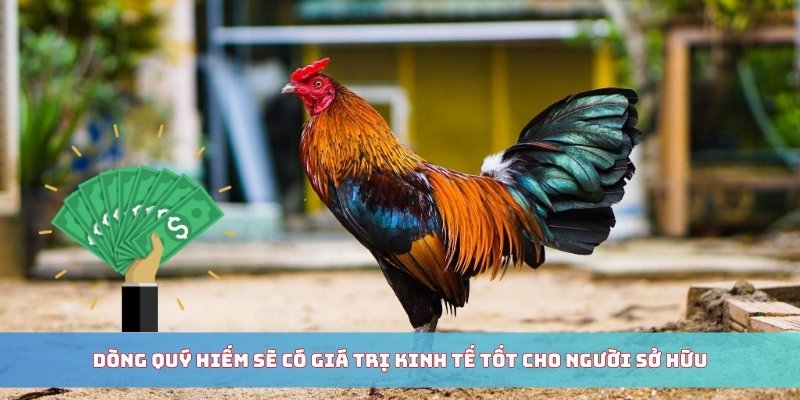 Dòng quý hiếm sẽ có giá trị kinh tế tốt cho người sở hữu